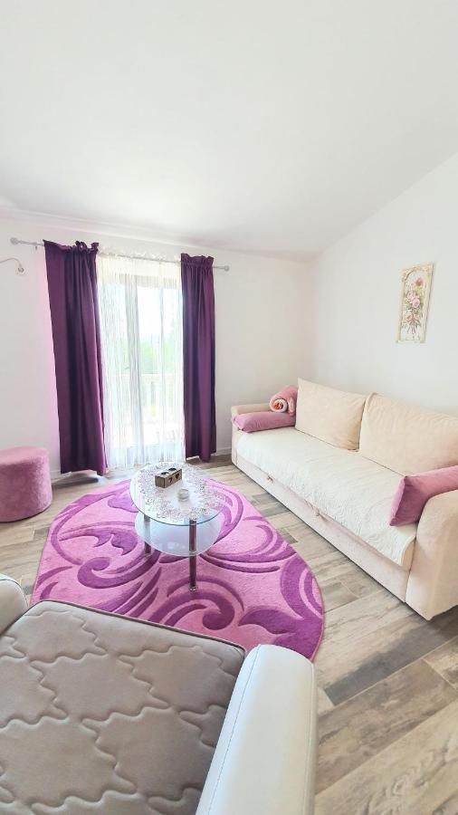 Apartment Jelena Sutvara Kotor Extérieur photo