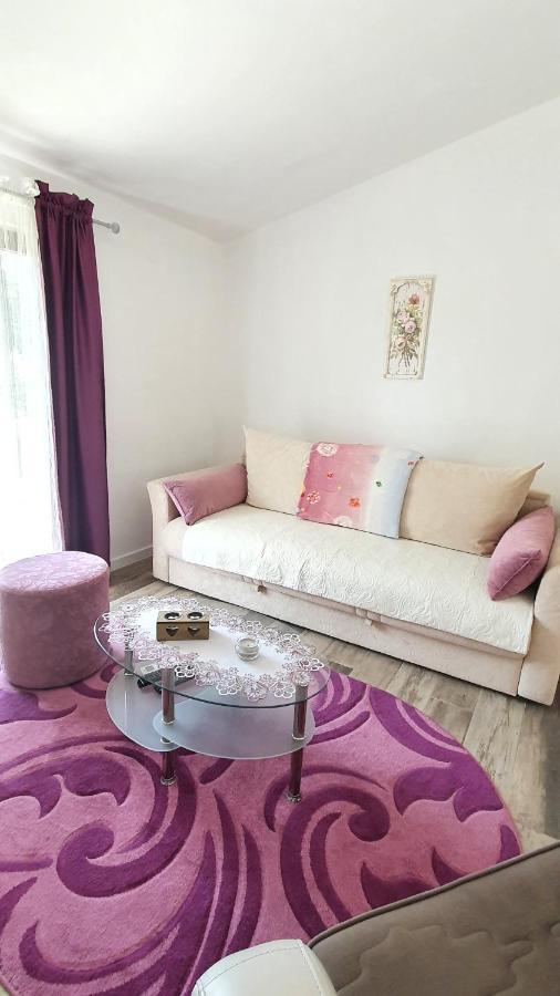 Apartment Jelena Sutvara Kotor Extérieur photo